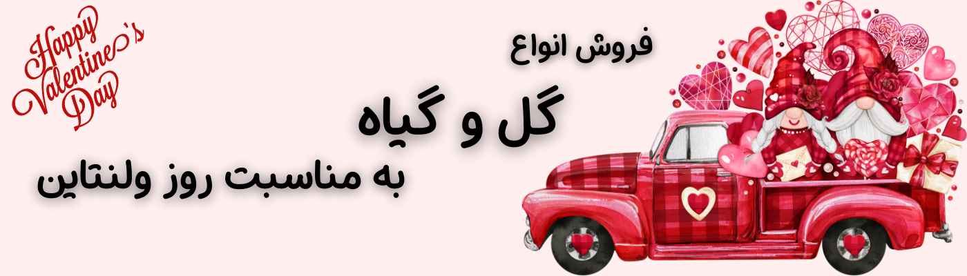 ولنتاین ولنتاین